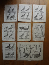 Lot ancienne gravure d'occasion  Lyon VIII