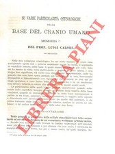 Calori luigi varie usato  Italia