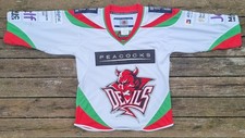 Cardiff devils ice for sale  MAESTEG