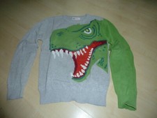 Pulli pullover dinosaurier gebraucht kaufen  Senden
