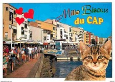 Animals cats kittens d'occasion  Expédié en Belgium
