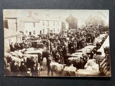 Cattle market hawes for sale  WORKINGTON
