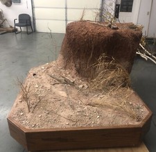 Taxidermy base large for sale  Voorheesville