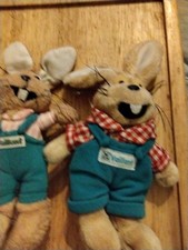 Hasen vaillant 2st gebraucht kaufen  Sankt Augustin
