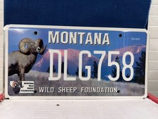 Montana wild sheep for sale  Helena