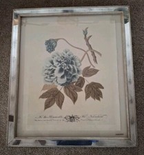 Trowbridge gallery botanical for sale  Marietta