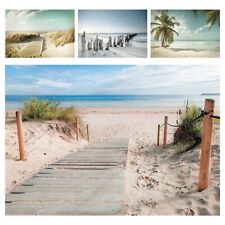 Vlies fototapete strand gebraucht kaufen  Berlin