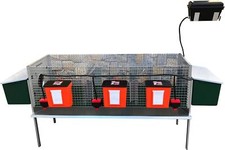 Gabbia conigli rabbit usato  Scafati