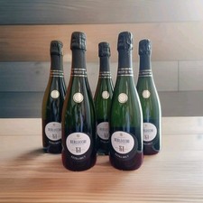 Bottiglie franciacorta spumant usato  Bellaria Igea Marina