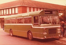 Colour bus photo for sale  BROXBOURNE