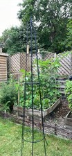 Garden obelisk trellis for sale  SHEFFIELD