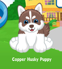 Webkinz copper husky d'occasion  Expédié en Belgium