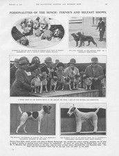 Dogs scenes shows for sale  GLASGOW