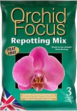 Growth technology orchid for sale  DERBY