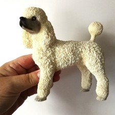 white poodle for sale  PONTYPRIDD