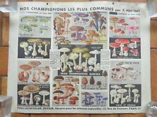 Affiche ancienne champignons d'occasion  Douarnenez
