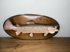 Beautiful rainbow trout for sale  Annandale