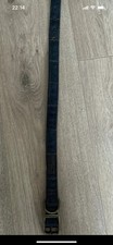 wainwright dog collar for sale wainwright dog collar for sale HYDE