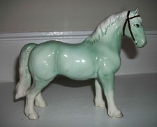 percheron draft horse for sale percheron draft horse for sale Winchester