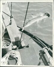 1938 photo foot for sale  Germantown