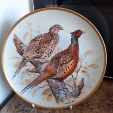 Common pheasant franklin for sale  YORK