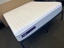 Purple premier hybrid for sale  USA
