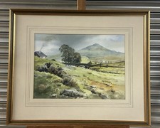 Lovely watercolour painting for sale  BEDFORD