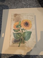  Livro grande design girassol para armazenamento  comprar usado  Enviando para Brazil
