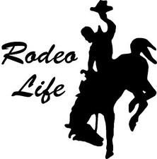Rodeo life window for sale  Kendallville