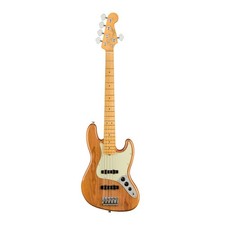 Fender american professional for sale  Brooklyn