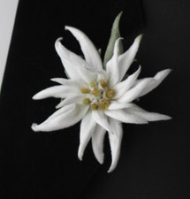 Pin solapa blanco Edelweiss boutonniere para hombre hecho a mano segunda mano  Embacar hacia Mexico