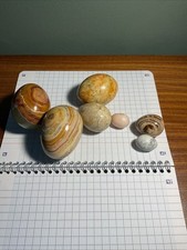 Ornamental eggs piece for sale  BIRCHINGTON