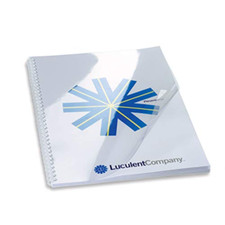 Gbc copertine pvc usato  Roccagloriosa