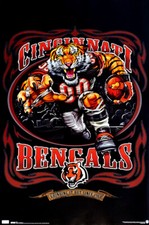 Cincinnati bengals grinding for sale  Niagara Falls
