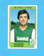 Panini calciatori 1984 usato  Milano