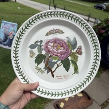 Portmeirion shrubby peony for sale  Spring Grove