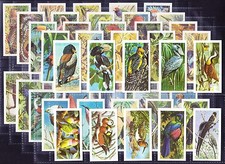 Brooke bond tropical for sale  UK