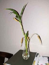 Vintage artificial bamboo for sale  White Plains