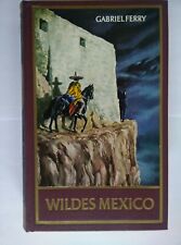 Wildes mexico gabriel gebraucht kaufen  Berlin