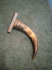 Vintage bulls horn for sale  Metamora