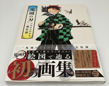 Demon slayer kimetsu gebraucht kaufen  Stadland-Schwei
