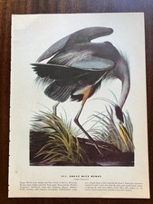 Vintage 1940 audubon for sale  Port Orchard