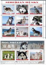 Folha de selo + bloco Husky Siberiano 2020 edição coreana cães comprar usado Folha de selo + bloco Husky Siberiano 2020 edição coreana cães comprar usado  Enviando para Brazil