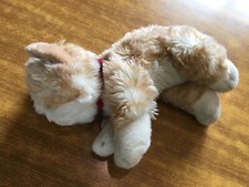 Cat small soft for sale  DEREHAM