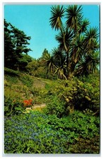 Postcard inverewe garden for sale  TEWKESBURY