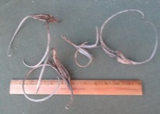 devil claws for sale devil claws for sale Tucson