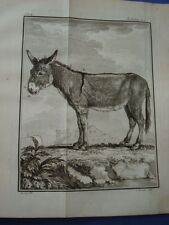 Veterinaria buffon histoire usato  Napoli