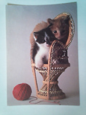 Cpm kittens wicker d'occasion  Expédié en Belgium