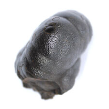 Hématite 160gr 55mm d'occasion  France
