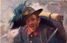 Illustratore campestrini avant usato  Rosignano Marittimo